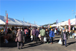 산업 축제