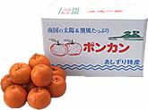 あしずりポンカン