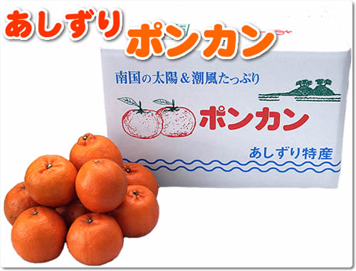 あしずりポンカン