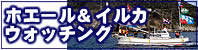 ホエール&イルカウォッチング