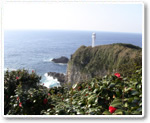 足摺岬・足摺岬灯台