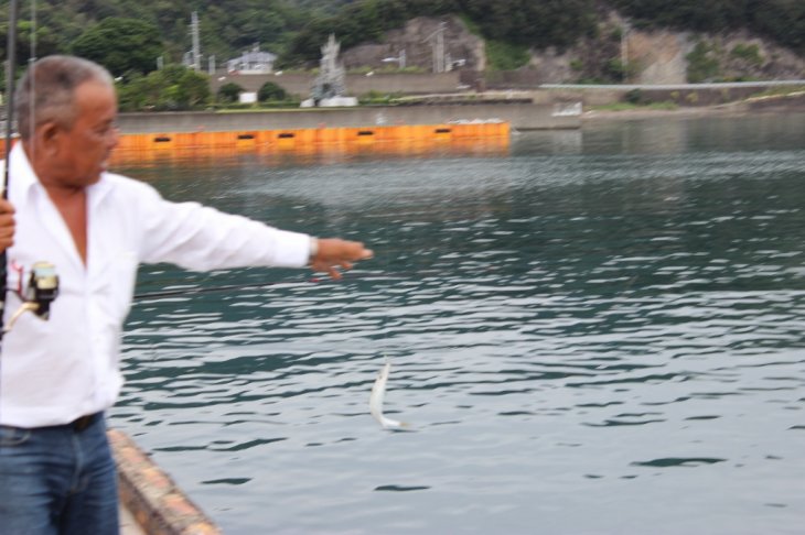 20140830090422.jpg 20140830090422.jpg