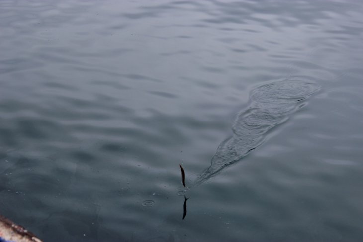 20140830090424.jpg 20140830090424.jpg
