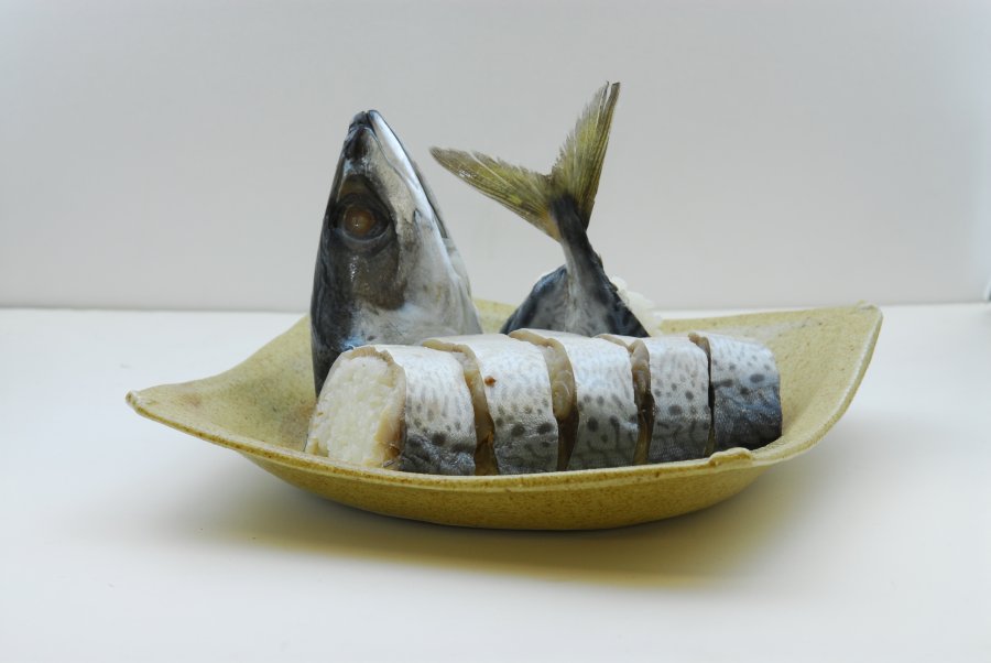 [清水青花鱼姿态寿司] 圆圆的1条鱼把清水青花鱼用於的豪爽的姿态寿司